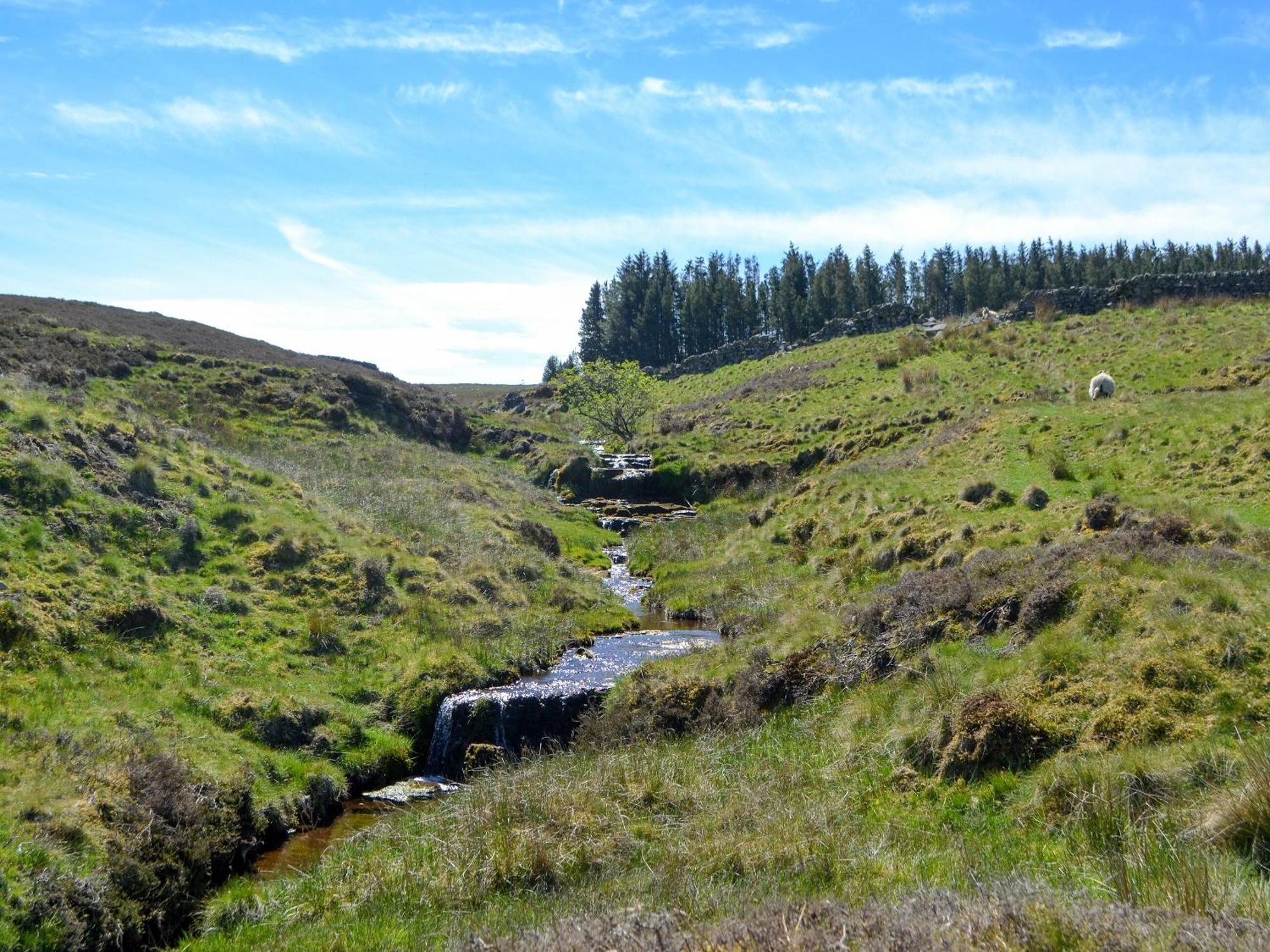 Willa Spindle Well Barn Elsdon Zewnętrze zdjęcie